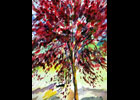Prunus - Afficher en plein ecran
