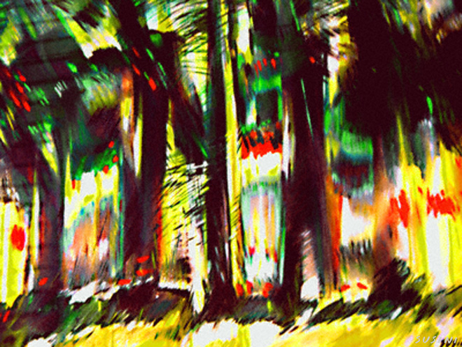 Percussions dans la jungle