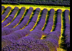 Provence - See full screen